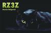 RZ3Z Image